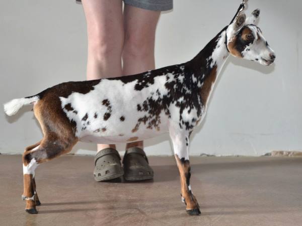 969011_547844361939699_1911374587_n