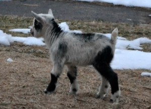 New photo coming soon!